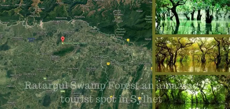 Ratargul Swamp Forest an amazing tourist spot in Sylhet
