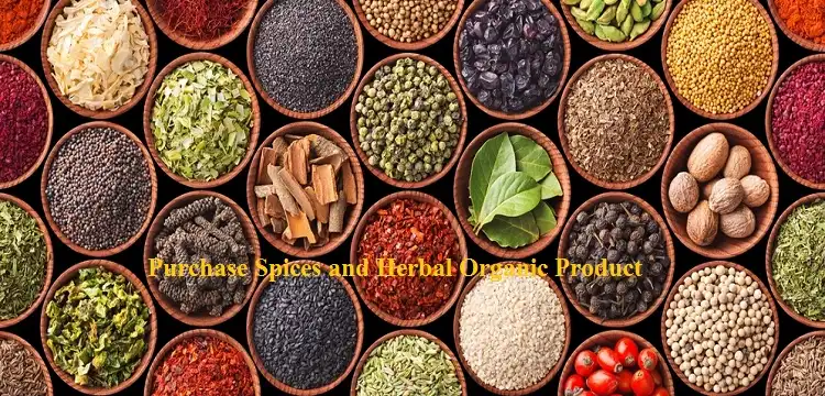 Purchase spices product from YogsutrA Store with low price in Bangladesh